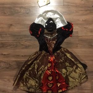 Disney Alice in wonderland costume